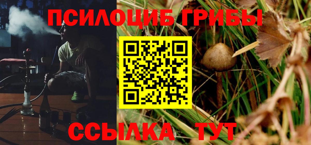 Галлюциногенные грибы мухоморы Советск