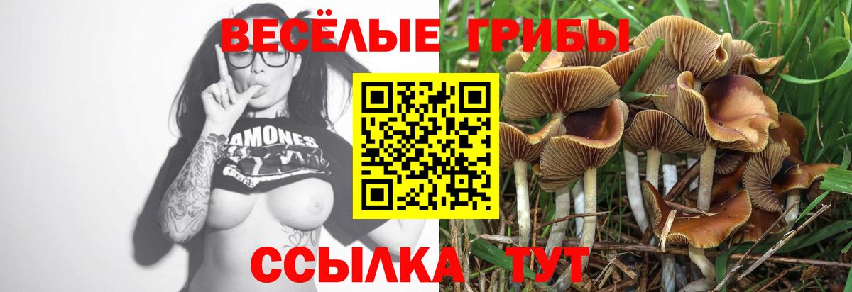 Псилоцибиновые грибы мицелий  Вход с VPN  Советск 
